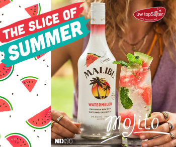 Malibu Watermelon Mojito - uw topSlijter mixtip